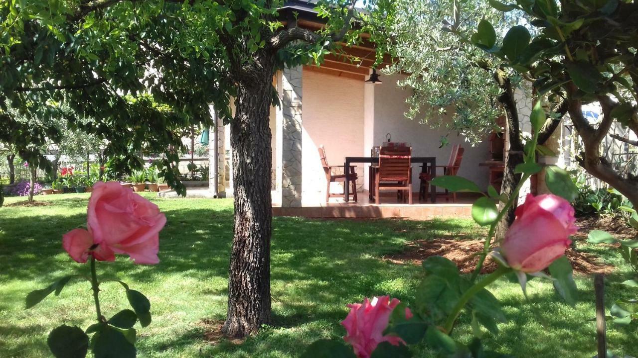 Apartment Anna Poreč Buitenkant foto